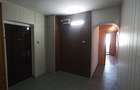 Apartament cu 2 camere decomandat în Banu Manta - 5