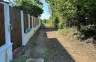 Vand teren Ciofliceni Snagov - 3