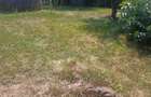 Teren Intravilan, situat in Sat Tismana (zona Gornovita) - 2