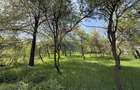 Casă  de vânzare în zona Câmpulung înconjurată de natura - 14