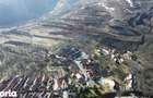 Casa din piatra la poalele Bedeleului Izvoarele, Alba - 17