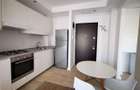 Apartament tip studio de inchiriat in Cosmopolis - 4