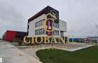 Hale industriale+Cladire de Birouri de inchiriat zona Aeroport - 5