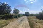 Loc de casa si teren cultivat cu vita de vie 1,28 Ha Sant... - 5