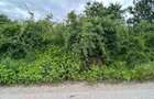 REL4001302 Teren sector 1 Centura DN1 Padurea Baneasa - 2