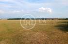 Teren 7700 mp de vanzare in Sanmartin, Bihor - 1
