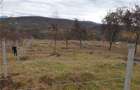Vand teren Bistrita, Valea Rusului, 10 ari - 2