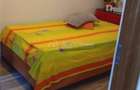Apartament cu 2 camere semidecomandat în Valea Rosie - 2
