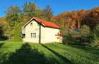 Cabana Valea Gepisului - 9