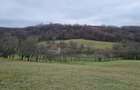 Teren intravilan in zona de dealuri 67000mp - 2