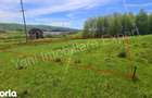 Teren 2435 mp de vanzare in Curtea de Arge?. - 5