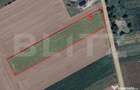 Teren intravilan 3.255 mp | deschidere la E85 | loc. Romane? - 1