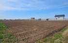 Teren 600 mp2 Dragomiresti-Vale paralel str. BEGONIEI - 2