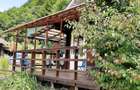 Proprietate pe Valea Vâlsanului – Cabane din lemn + Casă ecologică COB - 7