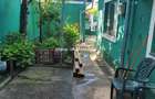Casa individuala cu 3 camere Ferentari- Trompetului - 2