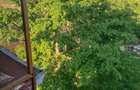 Casă cu 3 camere în Timișoara - 6