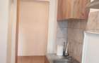 Apartament cu 2 camere decomandat în Bejan - 9