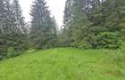 1 Ha teren Hangu Lacul Bicaz - 3