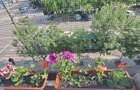 Vand Apartament Ultracentral