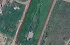 Teren intravilan agricol 5.000 mp de vanzare Iepure?ti, Giurgiu - 2
