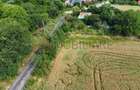 Teren Construcții intravilan de 5000 mp, în Șanțu-Florești - 2