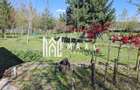 Teren Intravilan | 1150 mp | Saliste - 6
