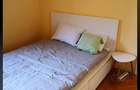 Apartament 2 camere la Parc Tineretului, bloc reabilitat - 2