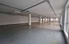 Spațiu comercial, de 440 mp, în Mărăști - 3