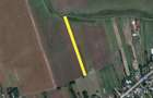 Teren extravilan Balta Doamnei - 6