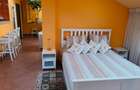 Apartament semidecomandat în Dorobanți - 2