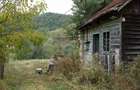 Teren de 13811 mp, în Certeju de Jos - 12