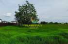 Teren 600 mp | Deschidere 16 m | Zona Cazanului | Berceni - 1