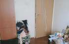 Ap. 3 Camere (zona Crangasi-- Pod Grand). - 4