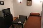 Apartament cu 1 camera finisat, in centrul vechi - 4