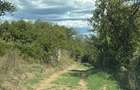 Livada - 4.000mp, zona Niscov, Carlomanesti!