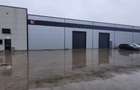 Spațiu industrial, de 760 mp, în Mogoșoaia - 4