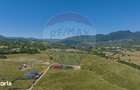 Teren Tohanu Nou, intrare Sohodol, 4800mp - 10