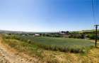 Teren intravilan de 1370 mp, în Măieruș - 2