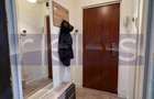 Apartament cu 2 camere semidecomandat în Dristor - 7
