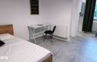 Apartament cu 1 camera de inchiriat Mazepa Rosiori - 5