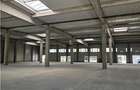 Spatiu Comercial - 550 mp - Zona Comerciala Nord - 10