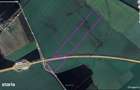 Vand Teren 3,25Ha Ghighiu,Sat Barcanesti,Autostrada A3-Dj101,Prahova - 6
