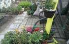 Apartament cu 1 camera - garsoniera confort 1 - 7