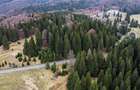 Teren intravilan de 1000 mp, în Poiana Brașov - 10