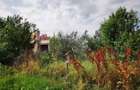 teren strada pasarani colentina fundeni - 7