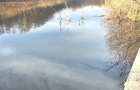 Teren Construcții intravilan de 900 mp, în Snagov - 4