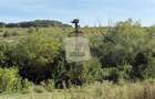 Teren extravilan de 40000 mp, în Gușterița - 5