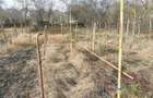 Casă cu 3 camere cu Teren 200 Mp în Central - 5