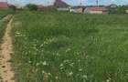Teren agricol extravilan de 2496 mp, în Periferie - 4