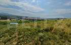 Teren extravilan, de vanzare, 6500 mp, zona Crasnei - 5